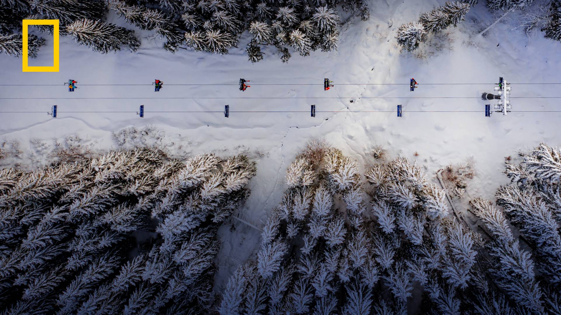 National Geographic'in En İyileri - 3