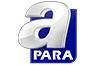 A PARA Logo